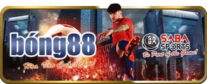 Bóng rổ